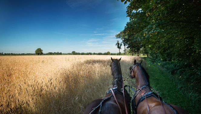 Natuur